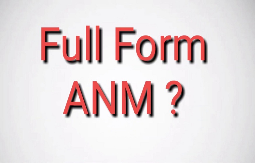 anm full form in english